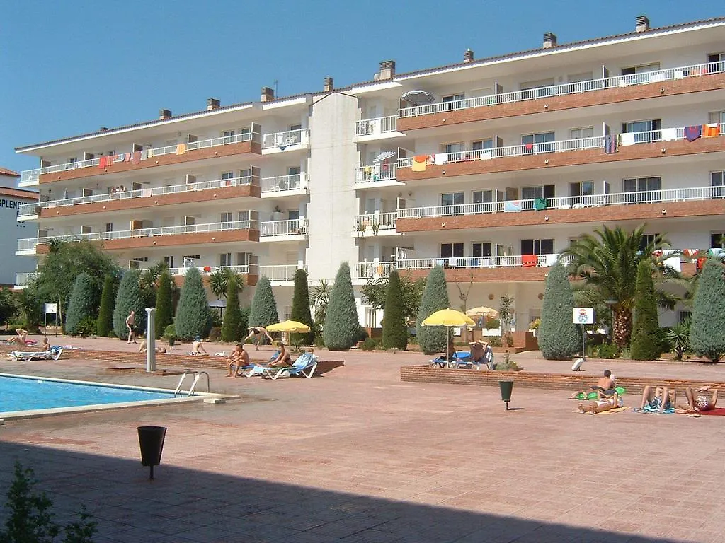 Apartamentos Ar Lotus contacts